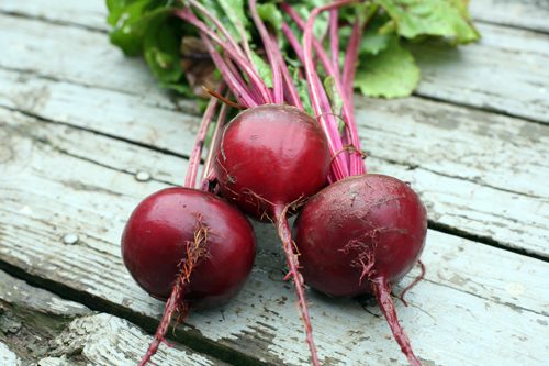 sweet potato beet gallette.jpg